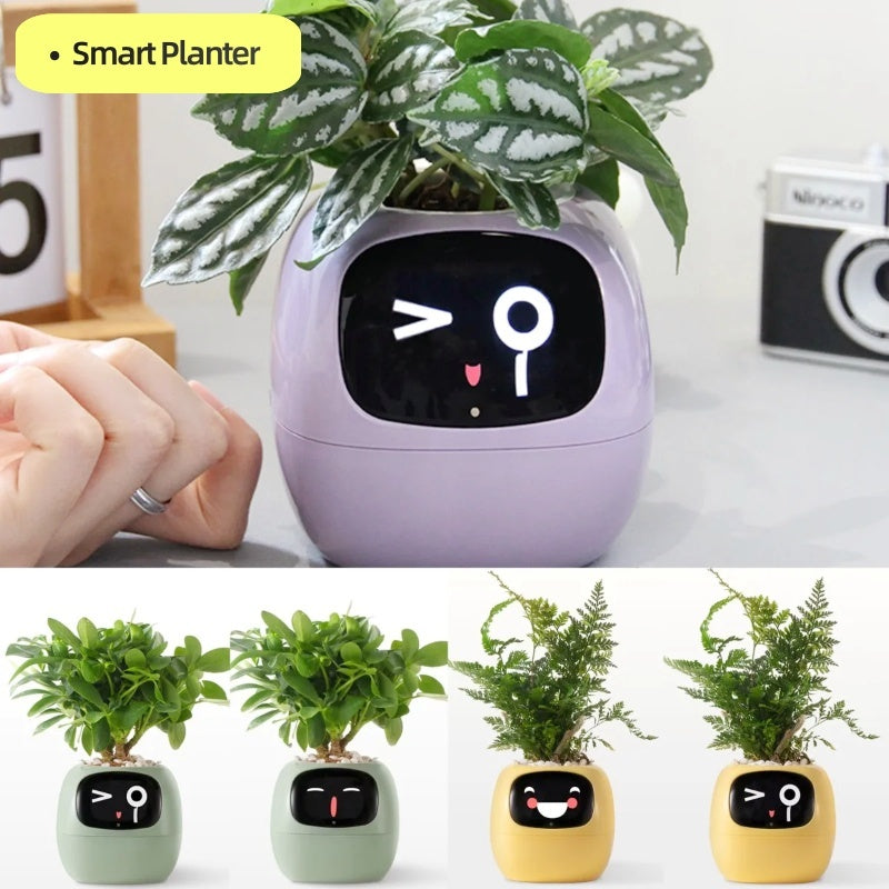 AI Chips Smart Planter Endless Fun