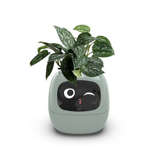 AI Chips Smart Planter Endless Fun
